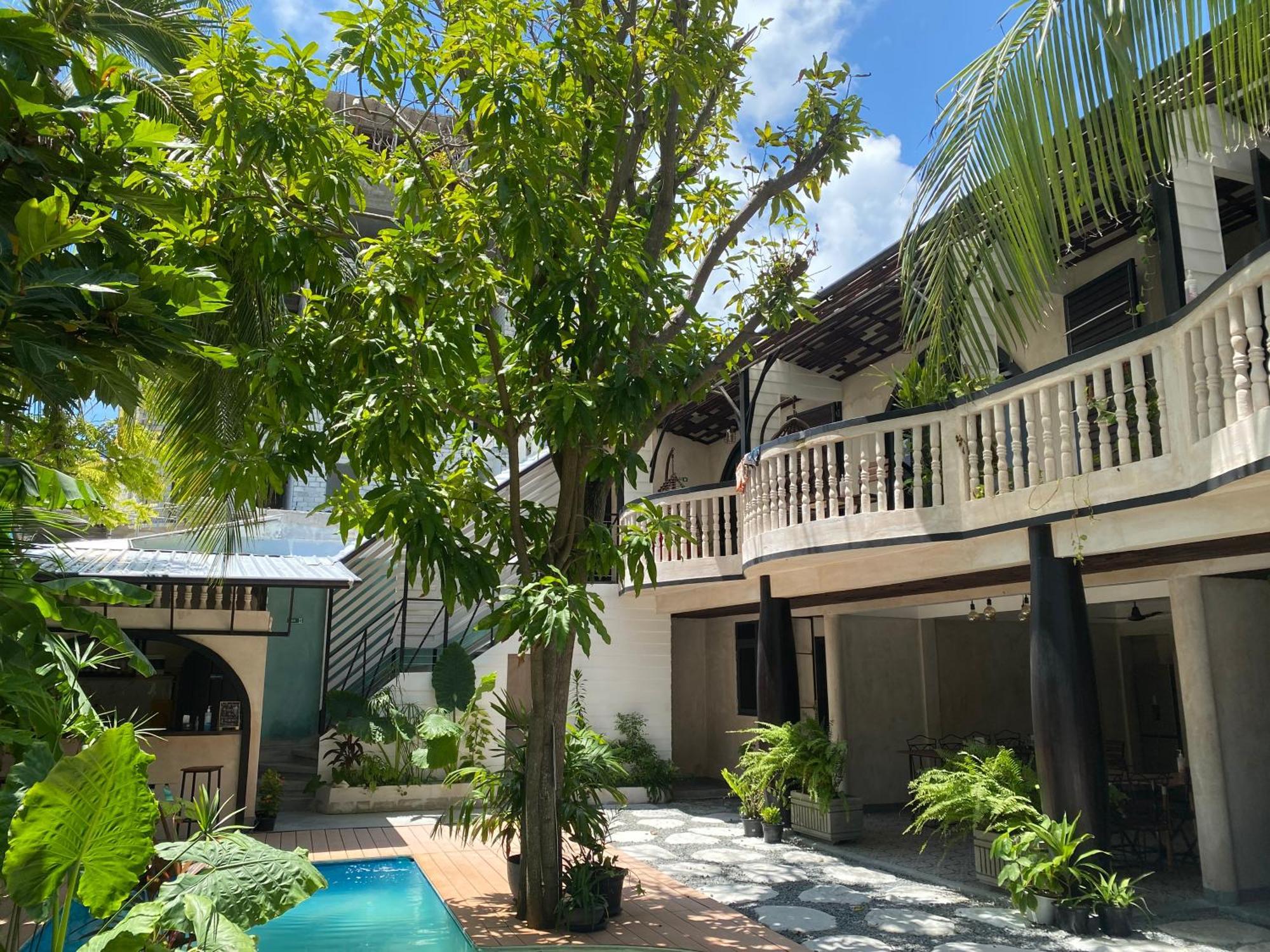 Zinnia Maafushi - Inclusive Airport Roundtrip - Snorkeling - Picnic - Sandbank For 2 Adults With Min 4-Nights Stay - Applicable For Bookings Made From 1St June 2025 Stay Period Till 31St Oct 2025 Esterno foto